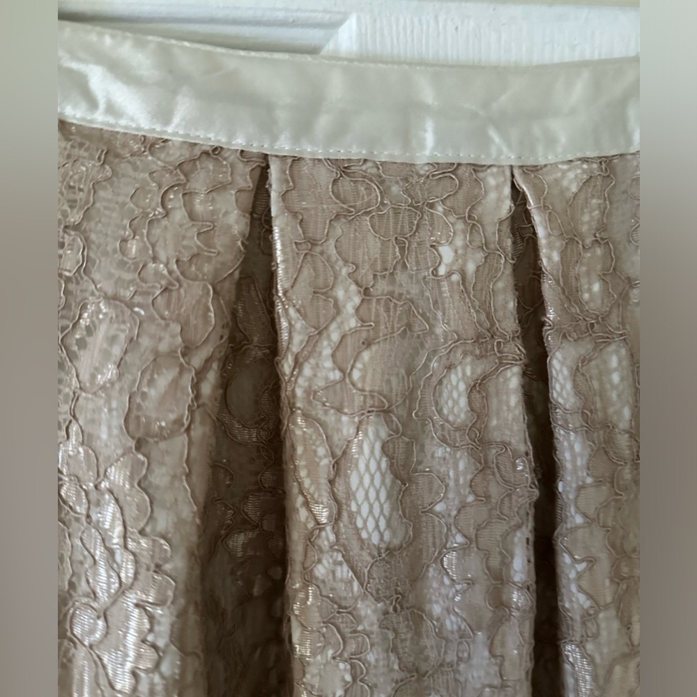 Francesca’s NWT Cream lace pleated lace mini skirt with satin waist, size small - Picture 3 of 5